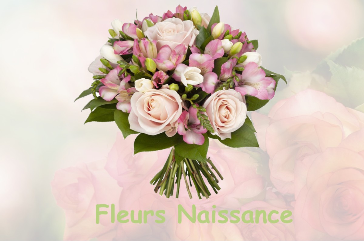 fleurs naissance SAINT-PIERRE-DE-MANNEVILLE